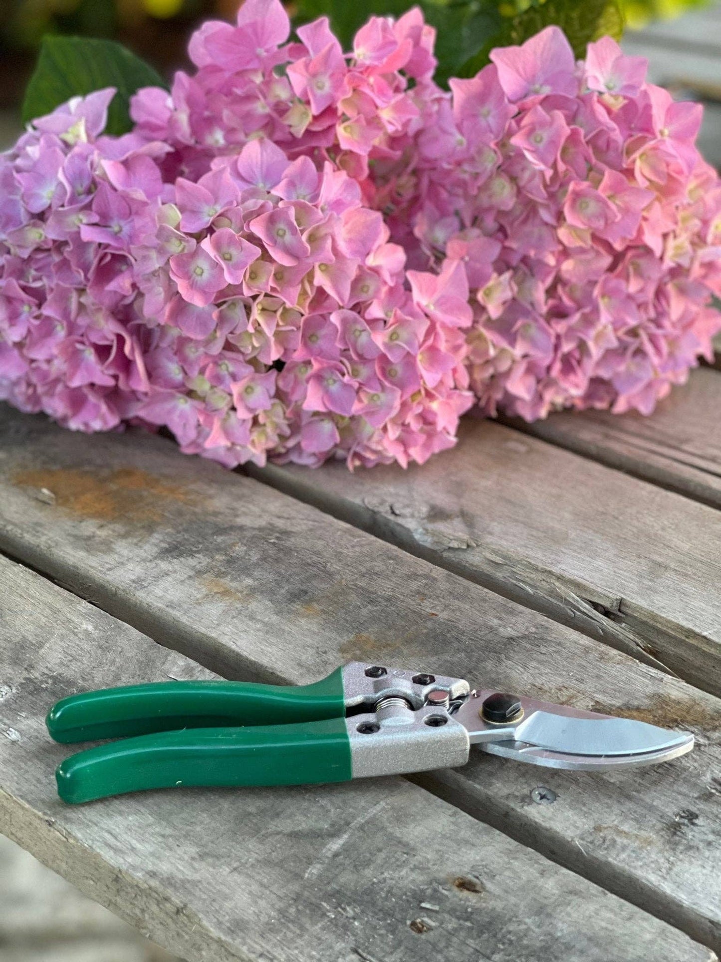 Celtic Farm LLC - Pruner Shears For the Garden  - Our Best Hand Pruners - Carbon Steel