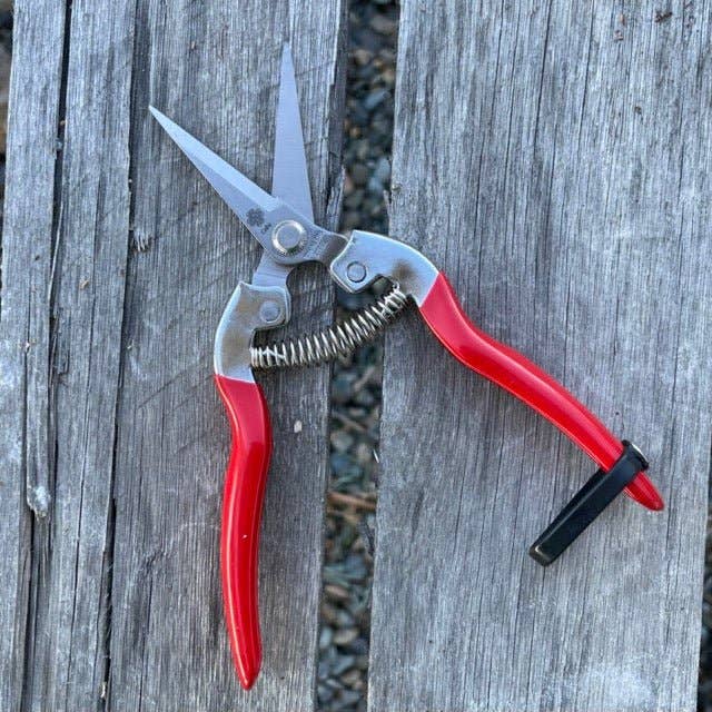 Celtic Farm LLC - Garden Micro Tip, Needle Nose Pruners - 2.25" Stainless Blade