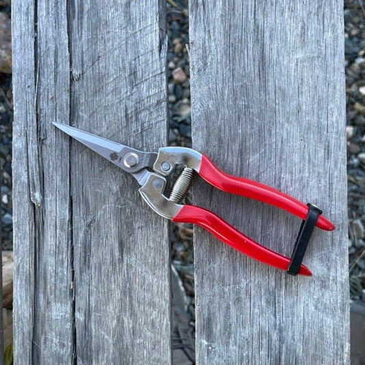 Celtic Farm LLC - Garden Micro Tip, Needle Nose Pruners - 2.25" Stainless Blade